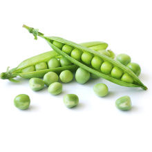 Sweet  Asparagus vegetable green pea seeds